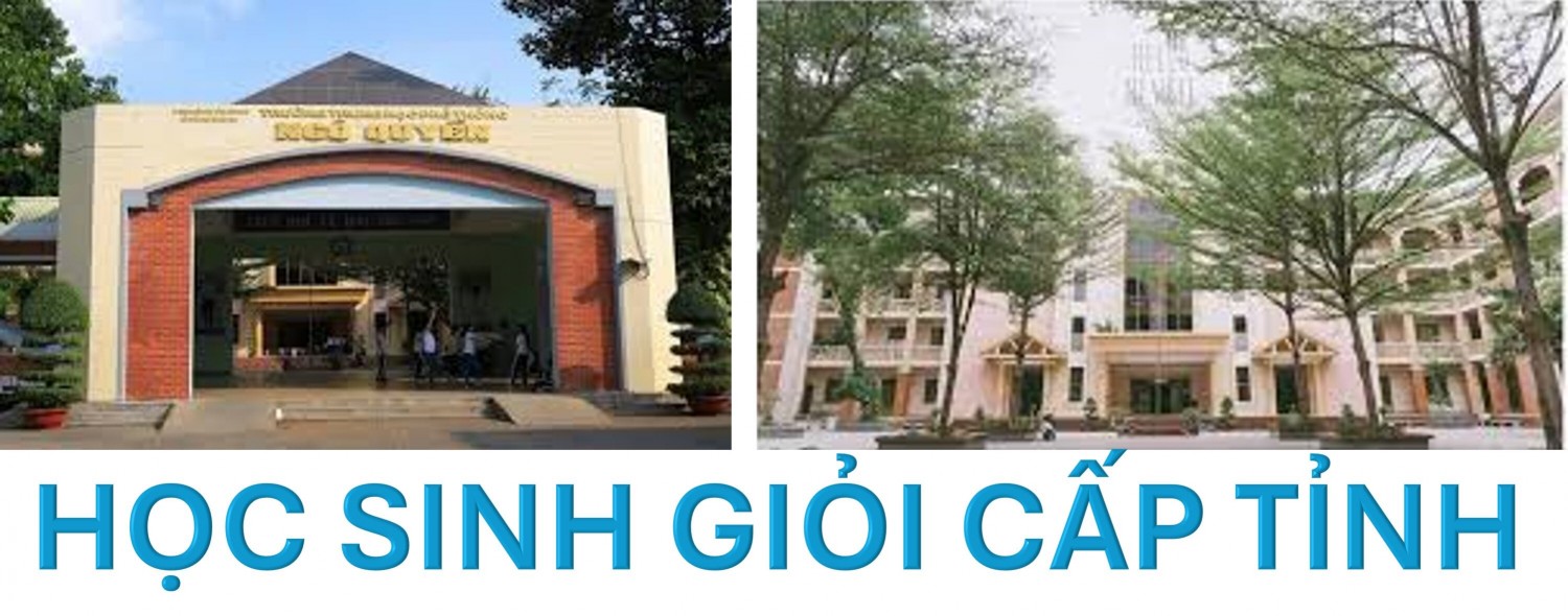 KỲ THI HỌC SINH GIỎI CẤP TỈNH NĂM HỌC 2024 - 2025